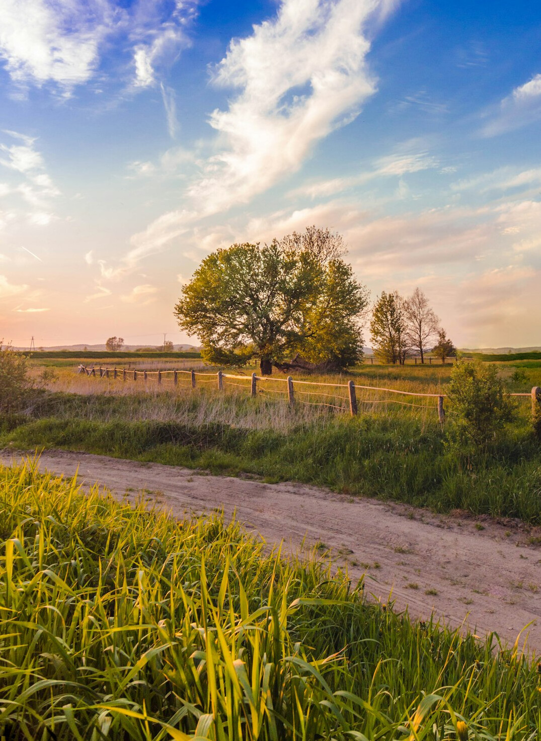Wide open farmland in Jutland under a dramatic sky