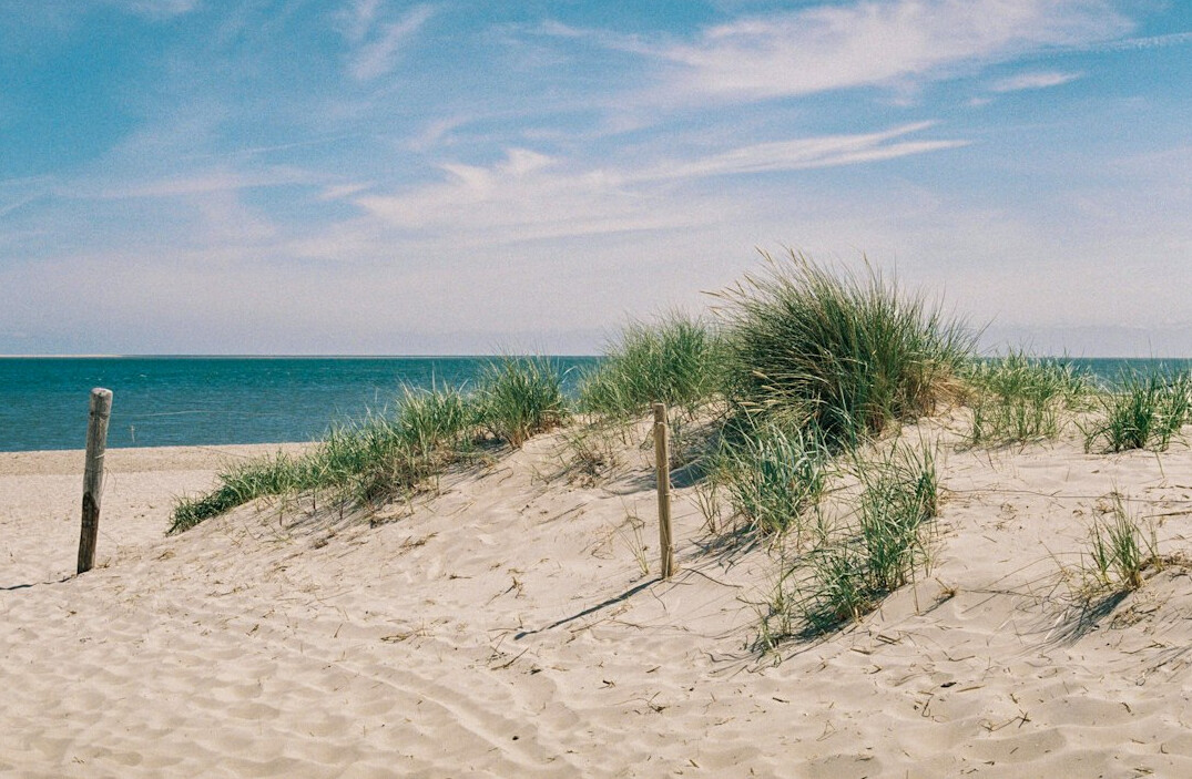 dunes and beach jutland