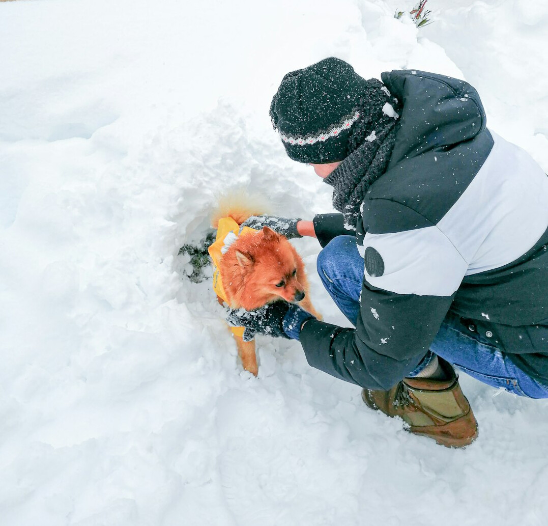 neighbor helping with snow
